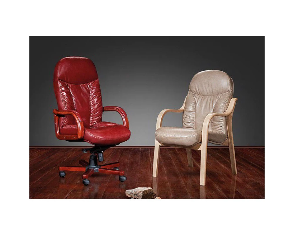 Стул офисный Ренуар SE-010