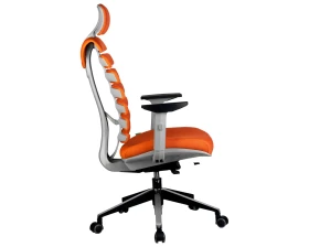 Кресло RV ЧЕЙР SHARK images