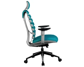 Кресло RV ЧЕЙР SHARK images