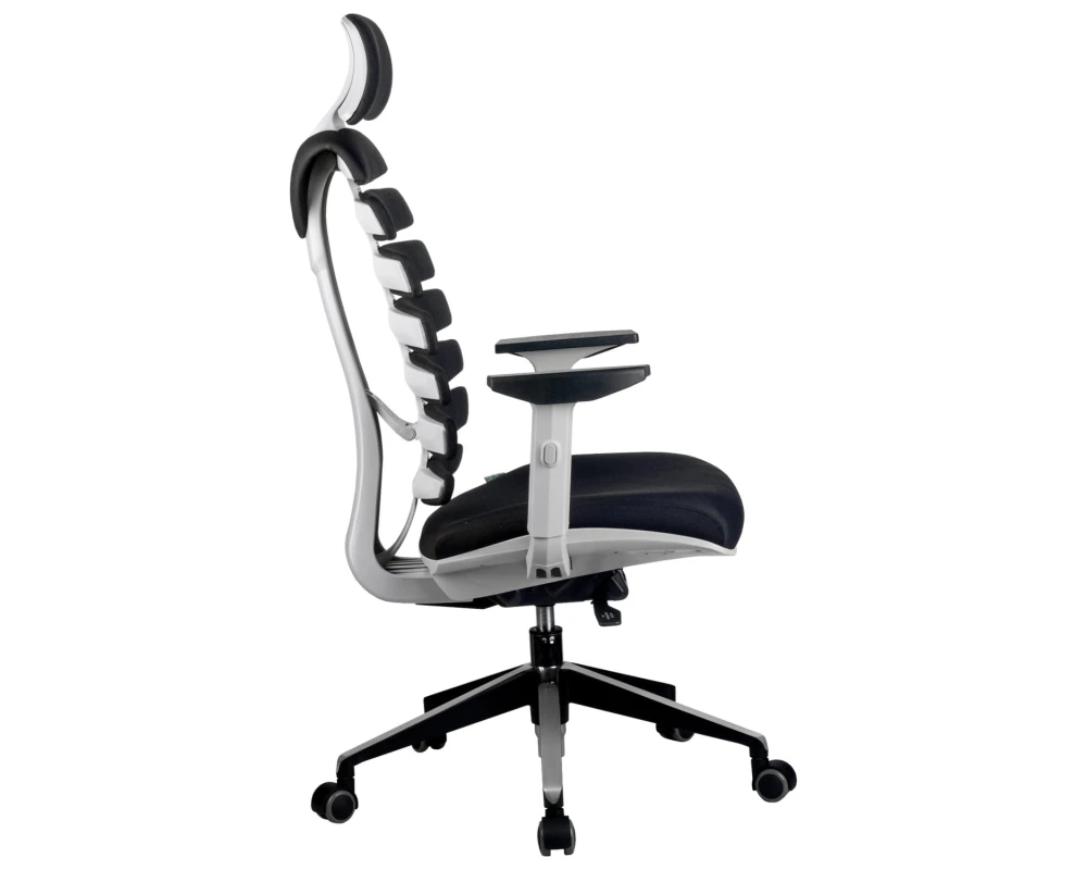 Кресло RV ЧЕЙР SHARK