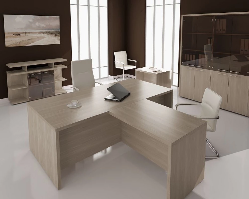 Кабинет руководителя ТАЙМ-МАКС / TAIM-MAX