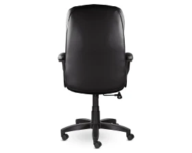 Кресло Дакота СН-251 В пластик 727 images